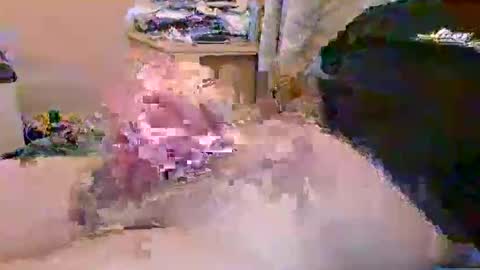 Snapshot of dafo1980 chatting on 04/23/26, 10:14 dafo1980 online show from 04/23/26, 10:14