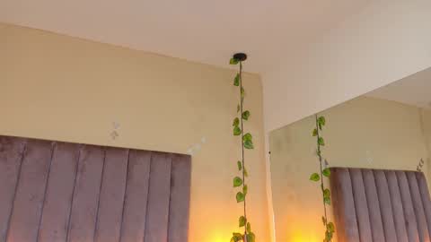 Dahlia online show from 03/29/26, 08:47