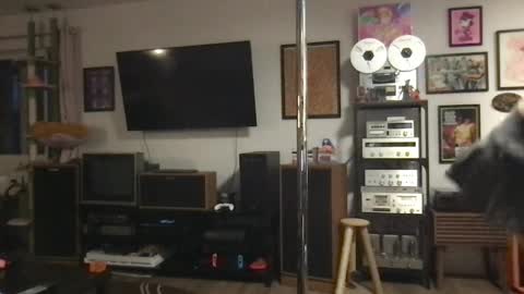 Snapshot of daisymynx chatting on 04/06/26, 03:15 daisymynx online show from 04/06/26, 03:15