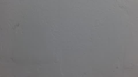 Dakota Johnson online show from 11/08/25, 06:40