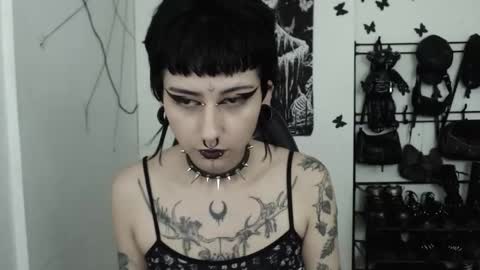 dakota online show from 11/22/25, 04:33