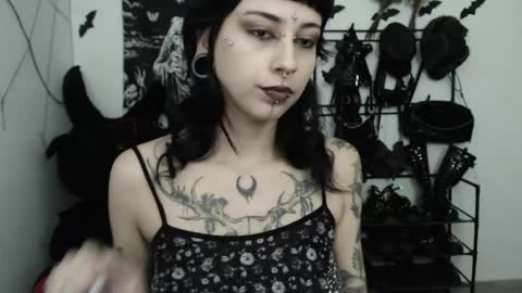 Snapshot of dakota_krall_ chatting on 05/15/26, 02:40 dakota online show from 05/15/26, 02:40