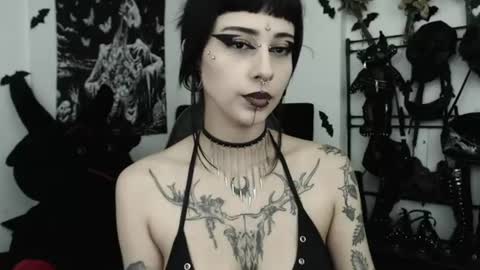 Snapshot of dakota_krall_ chatting on 07/04/26, 02:29 dakota online show from 07/04/26, 02:29