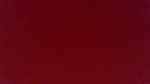 dale_241 online show from 12/13/24, 08:20