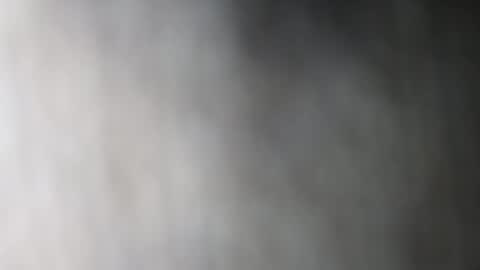 Dalia April online show from 01/11/26, 07:41