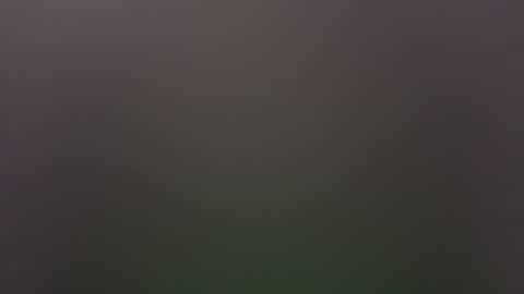 dallasjmg online show from 02/25/26, 10:19