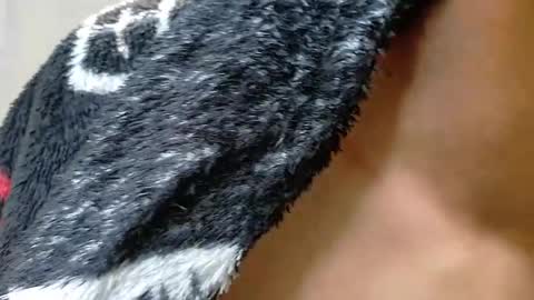 Damian Vadim online show from 05/30/26, 01:08