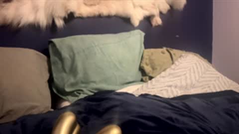 damontsi online show from 02/24/26, 02:48