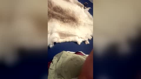 damontsi online show from 03/22/26, 09:34