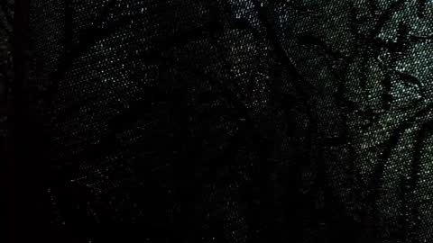 Damson online show from 09/28/25, 08:09