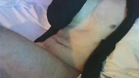 Snapshot of dan567y chatting on 02/28/25, 05:59 dan567y online show from 02/28/25, 05:59