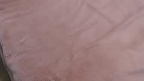 Snapshot of danadjuani chatting on 01/11/25, 09:57 Danna Lovense is activeThere are legends that in this room all your wishes can come true Private is Open online show from 01/11/25, 09:57