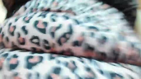 danajhonson online show from 04/16/26, 02:07