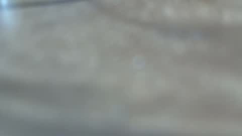 Snapshot of dancewhenyoucan9 chatting on 12/22/25, 10:51 dancewhenyoucan9 online show from 12/22/25, 10:51