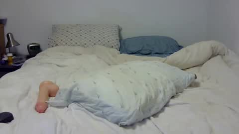 Andy online show from 02/07/25, 02:19