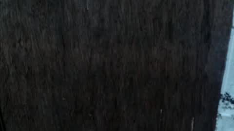 Snapshot of dangerouscock69_nica chatting on 10/02/25, 08:54 Nica online show from 10/02/25, 08:54