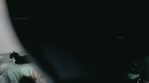 dani y jocelyn online show from 03/02/25, 11:53