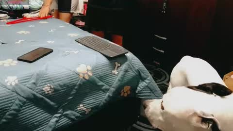 dani y jocelyn online show from 02/16/26, 07:21