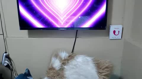 Danica online show from 12/15/25, 03:44