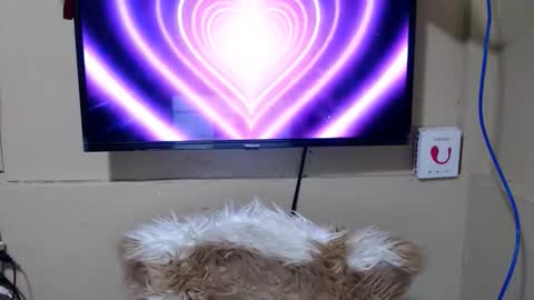 Danica online show from 05/15/26, 11:34