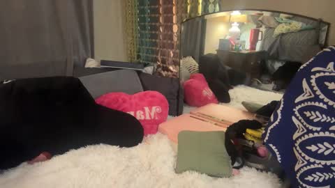 Dani Dragon online show from 02/05/25, 08:32