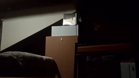 danieldayz online show from 11/04/25, 10:58