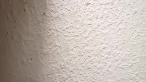 Antidotehot24 online show from 10/03/25, 04:59