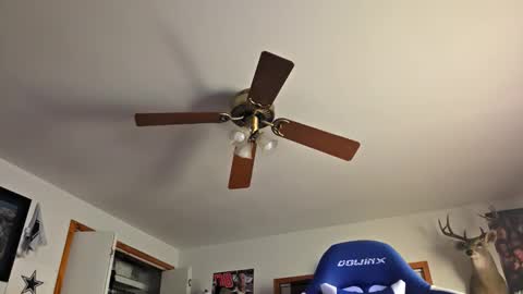 Daniel    y. online show from 10/22/25, 11:15