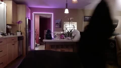 DanikaWhite69 online show from 02/09/25, 08:22