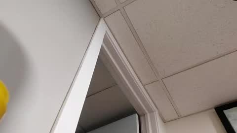 danimal5000 online show from 03/05/26, 07:10