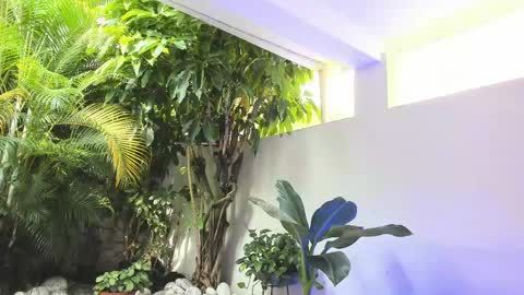 Dannamunoz130 online show from 05/31/26, 01:29
