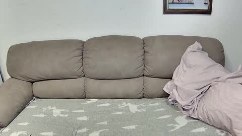 HilmarZ online show from 11/17/25, 02:45