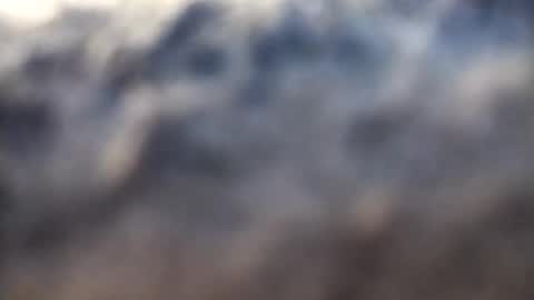 dannowisc online show from 02/17/26, 02:52