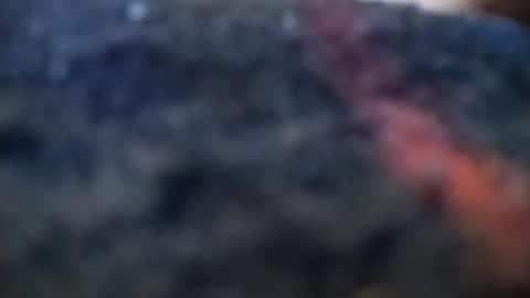 dannowisc online show from 02/20/26, 04:09