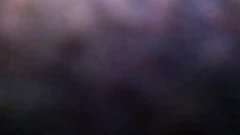 dannowisc online show from 02/23/26, 02:20