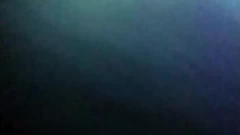 dannowisc online show from 06/04/26, 09:59