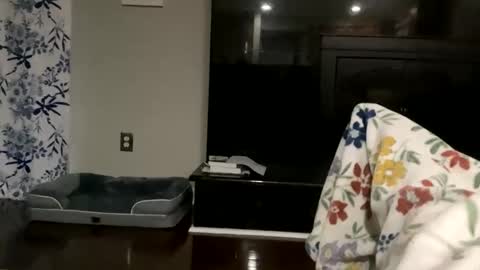 Snapshot of dannyboy621 chatting on 10/17/25, 11:24 dannyboy621 online show from 10/17/25, 11:24