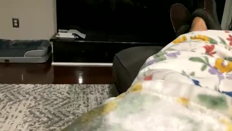 Snapshot of dannyboy621 chatting on 10/30/25, 09:33 dannyboy621 online show from 10/30/25, 09:33