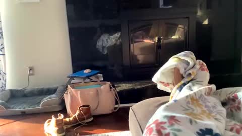 dannyboy621 online show from 11/02/25, 01:24