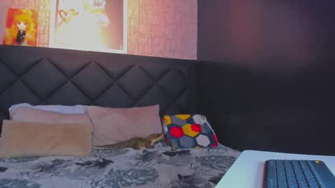 Dany online show from 11/11/25, 05:35