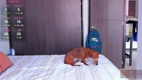 danyfitguy_ online show from 11/09/25, 05:11