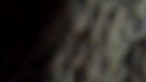 danys69 online show from 10/11/25, 08:18