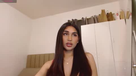 darcy online show from 11/10/25, 03:44