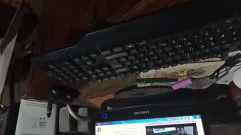 dario48 online show from 11/03/25, 06:47