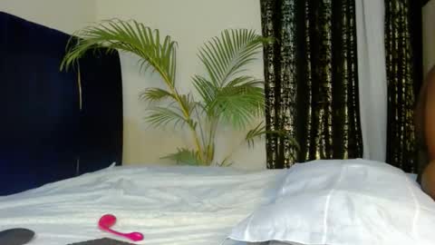 Tiff online show from 12/23/25, 12:19