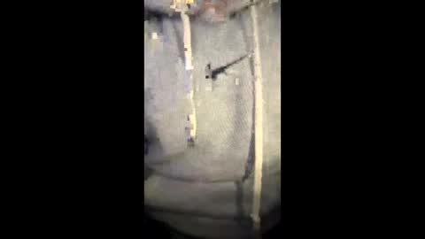 darklight69s25 online show from 01/06/26, 08:45