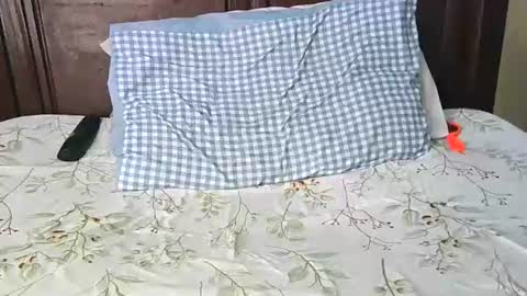 darkskinebony online show from 02/07/26, 03:05