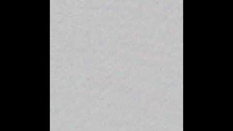 D online show from 03/23/26, 07:18