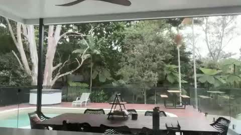 dartanian0001 online show from 09/18/25, 08:55