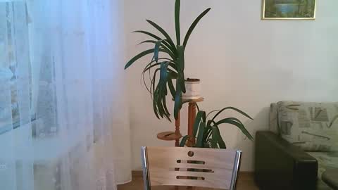 Dario online show from 12/01/25, 11:15